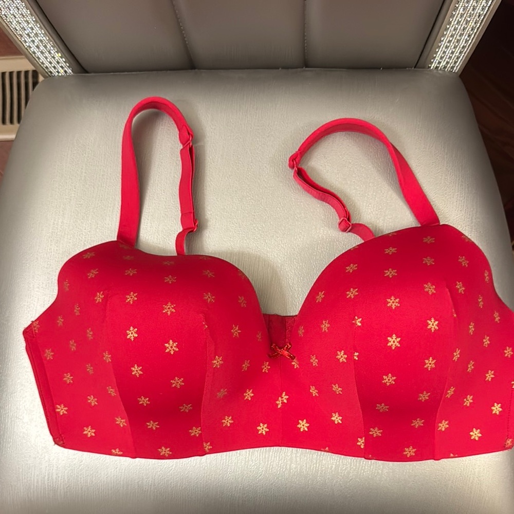 Cacique Red Bra red 40D
